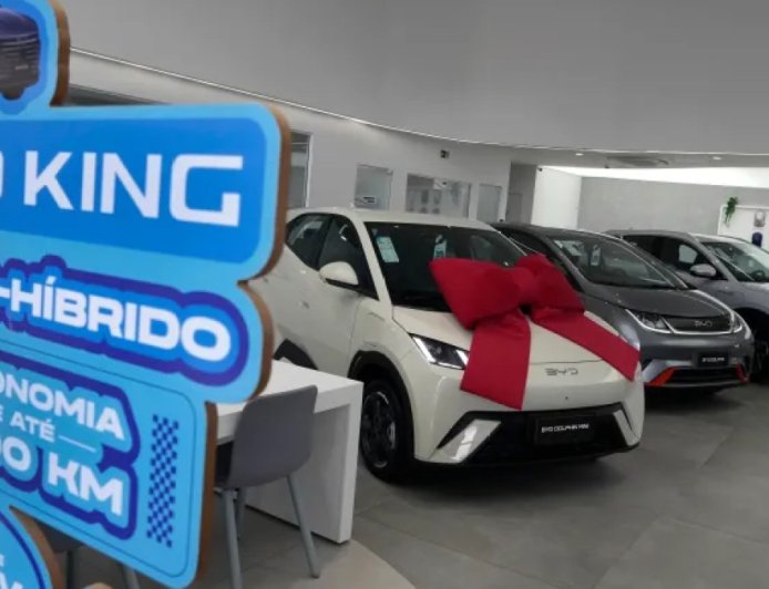 中国电动汽车主导全球市场——美国与加拿大因何例外？