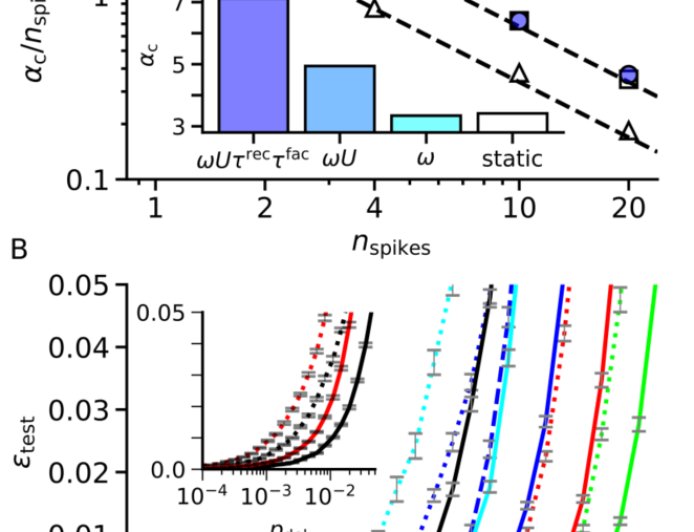 天津大学揭示大脑突触处理时空信息核心机制，为下一代 AI 提供理论支撑