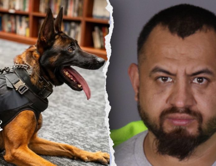 Illegal immigrant gang member killed police K-9 'Spike' before officers returned fire in California: source