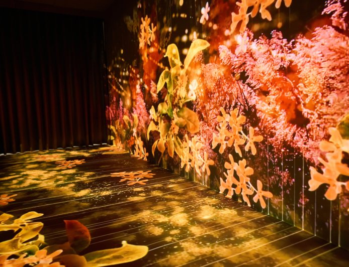 「緩緩坪林旅遊館」12/6開幕　沉浸式光影、品茶超愜意