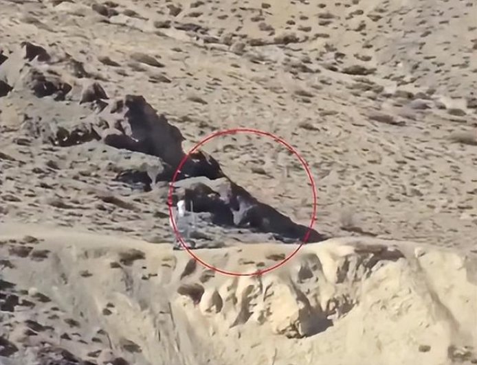 印媒破防！中国机器人已经在边境巡逻，印军还要操心冬天冻死人