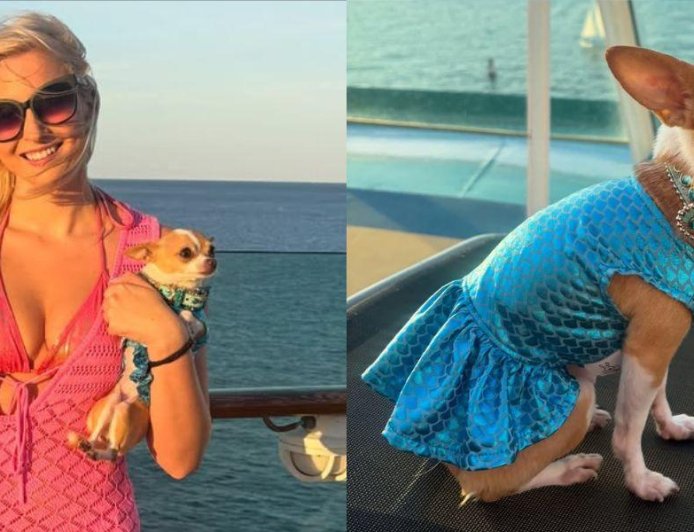 TikTok’s Cutest Traveling Duo, Bruiser And Elle Woods, Just Took Over A Cruise Ship