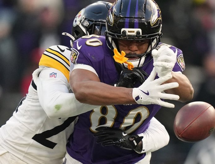 Questionable call takes crucial TD away from Ravens in close loss to divisional rivals