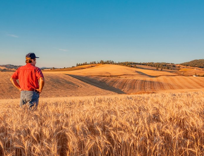 资金来自关税收入，美国政府将为农民提供120亿美元救助