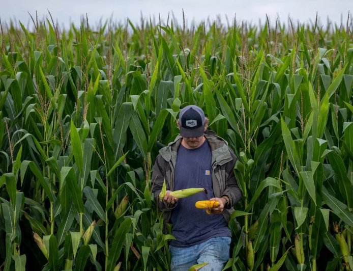 特朗普为农民提供120亿美元救助 被批权宜之计