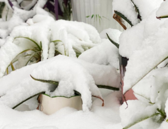 直通部委｜气象局启动重大气象灾害四级应急响应 11月份CPI同比上涨0.7%