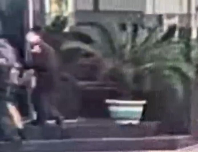 北市消防局爆女廁偷拍　雲端不雅片超過10部