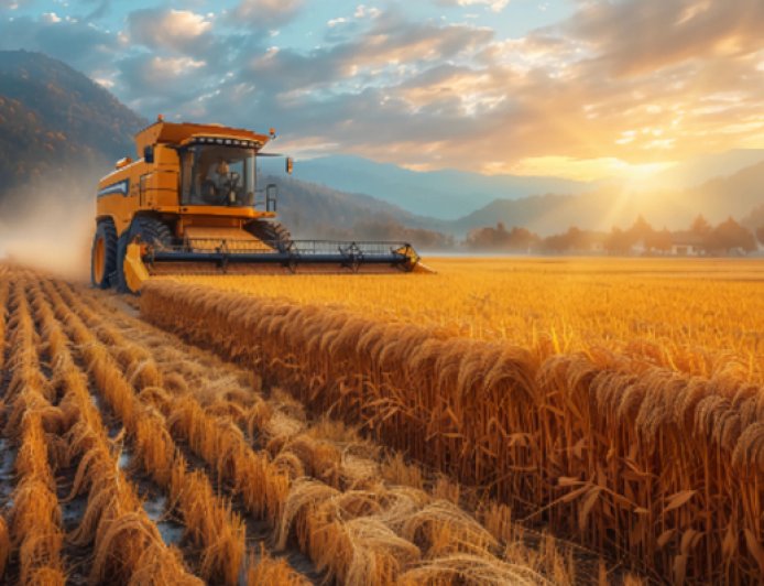 再超1.4万亿斤，我国粮食总产量已实现“二十二连丰”