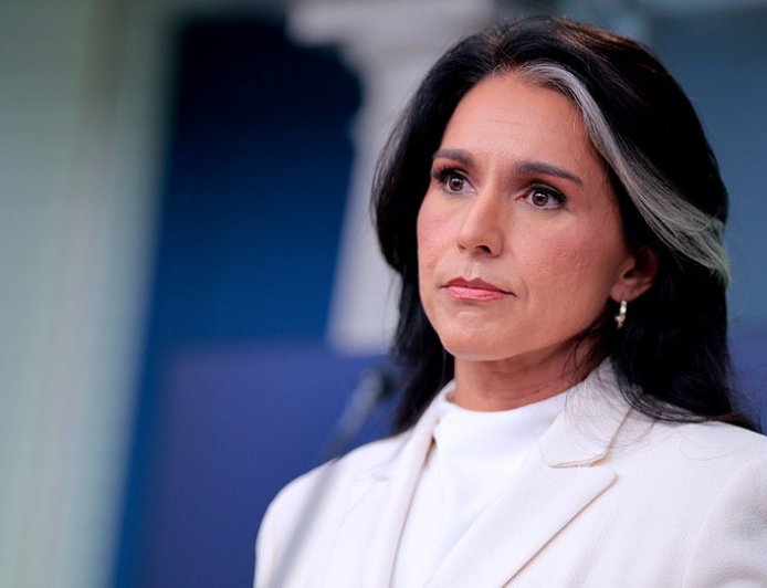 Tulsi Gabbard warns of 'direct threat' from suspected terrorists now living in United States
