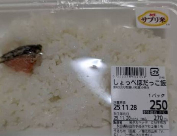 鮭魚便當「魚片僅拇指大」！他開吃20分鐘傻了：白飯不夠