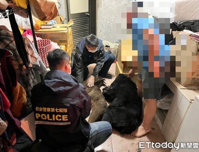 9人獵殺4台灣黑熊一審無罪　「黑熊媽媽」黃美秀發聲