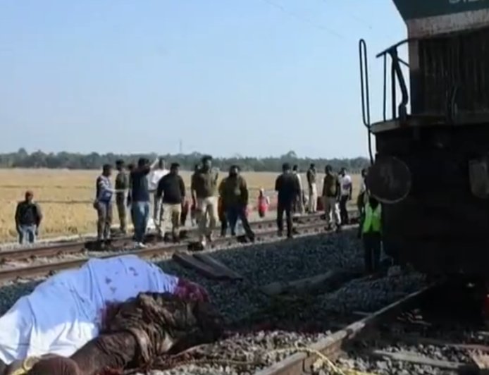印度一辆列车撞上象群脱轨 多头野象死伤