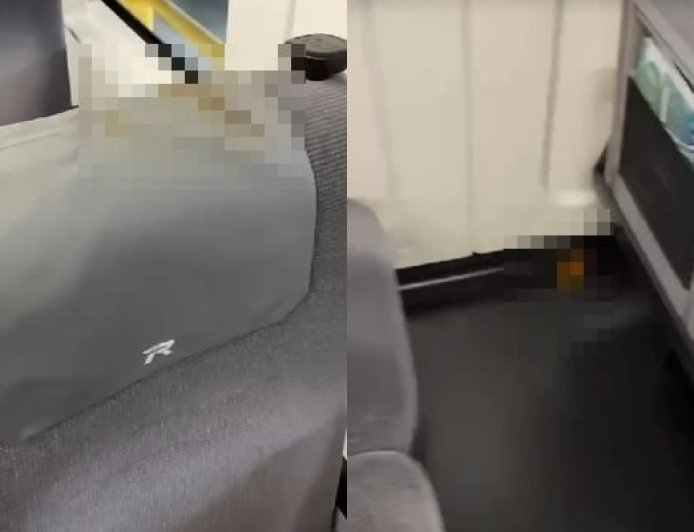 超噁！通緝犯「屎甩車廂」抹自強號座椅　台鐵求償18萬獲准