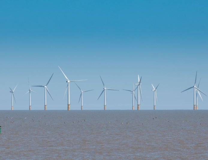 特朗普政府叫停美国所有海上风电项目