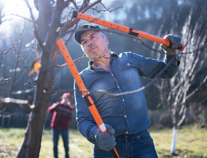 Must-have winter yard tools: Chainsaws, snow blowers and pet-safe ice melts