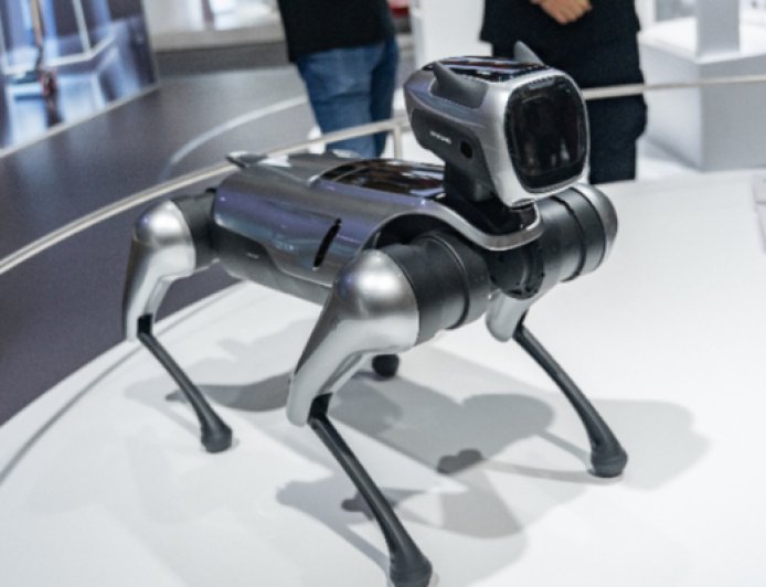 更换审计所遭独董质疑，宝馨科技年报关口过得去吗？