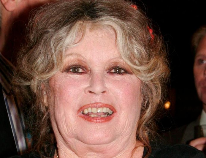 Brigitte Bardot’s Most Personal Regret Comes to Light After Her Passing