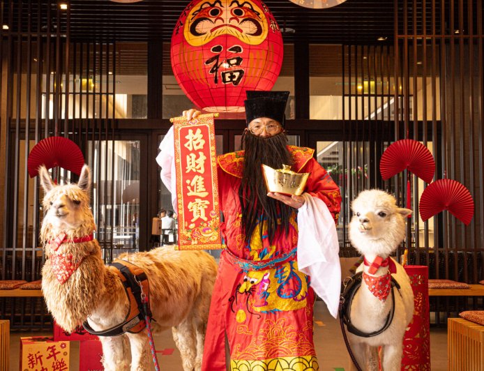 四維航Q4散裝船運價加高　綠舞飯店普發金添業績、春節推早鳥優惠