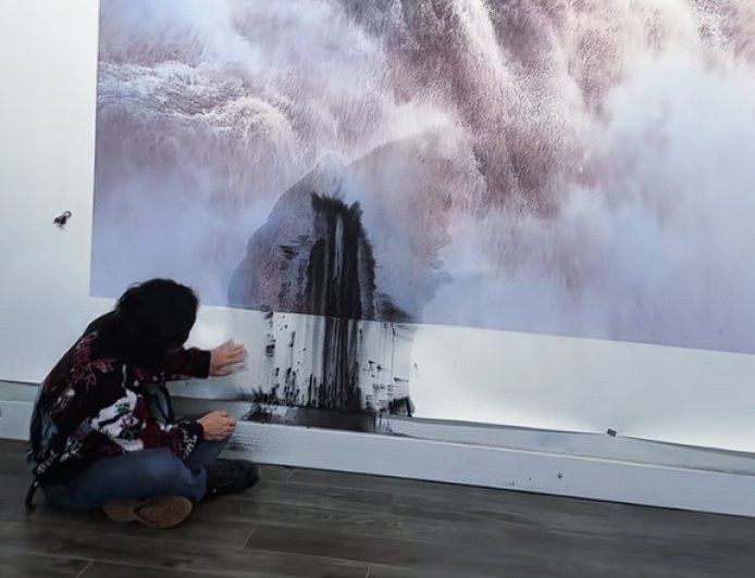 估价380万 著名画家巨幅画作遭泼墨：千万网友献策补救