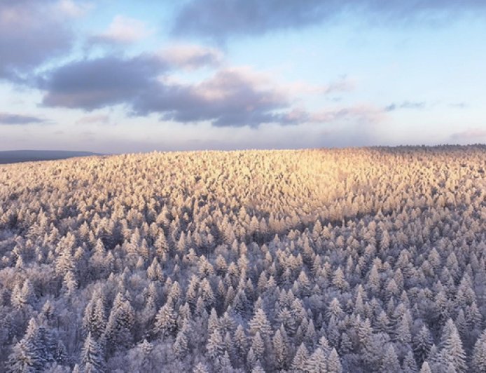 冰雪微笑曲线| 雪漫老里克湖，马拉爬犁载百年民俗