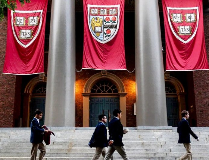 Harvard alum blasts DEI policies after 'woke' values drive longtime professor's exit