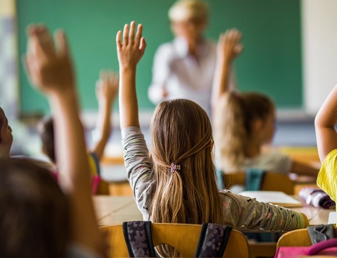 Professor slams 'sneaky approach' to oppression-based teaching of American history: 'fantastically false'