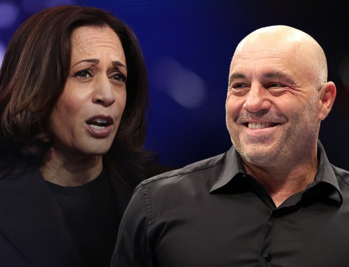 Joe Rogan insists Kamala Harris would've done 'fine' on his 3-hour-show: 'Could've talked for hours'
