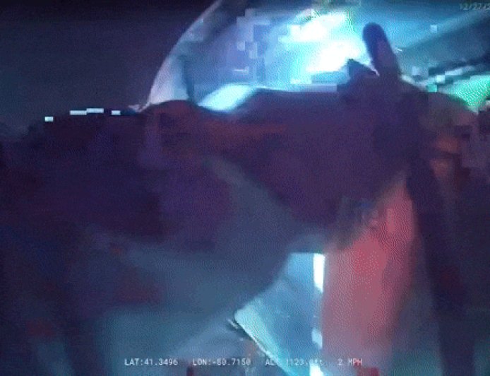 WATCH: Ohio police smash sunroof, drag injured driver from burning car after rollover crash