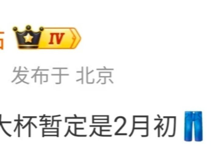 消息称某厂性能超大杯暂定 2 月初发布，预计为 iQOO 15 Ultra