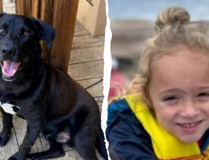 Missing 4-year-old Florida boy found dead after massive 3-day search in Alabama woods