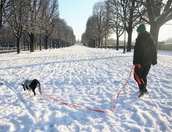 寒流周二续席卷欧洲 法交通事故已五人丧命