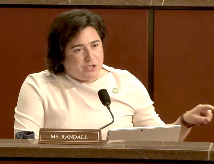 Democratic lawmaker says focus should be on 'White men' at Minnesota fraud hearing