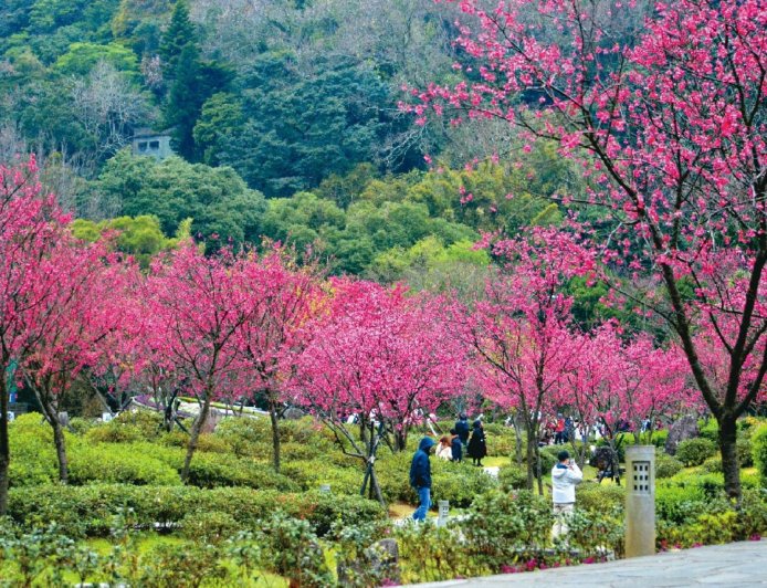自然漫遊　沉浸春日浪漫風光