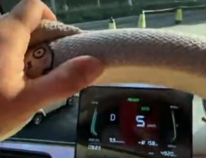 女车主买知豆电动车故障不断：踩电门不走、遮阳板脱落 4S店还关门了