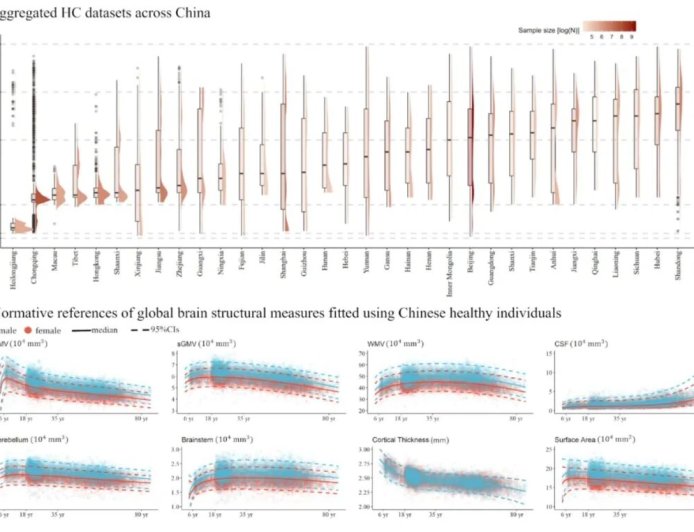 首个中国人群全生命周期脑图表成功构建，确定 228 项指标的正常参考范围