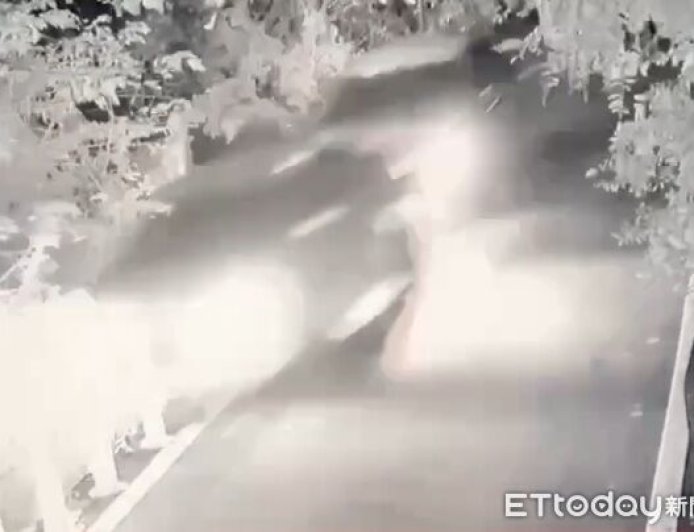 懷疑他毒死愛犬！女縱火燒前男友工寮　反被開車撞飛墜谷險死