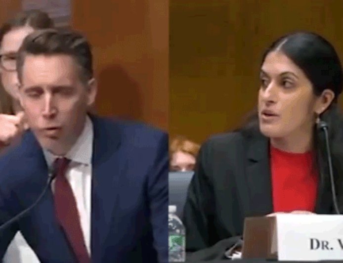 Hawley, Moody react after heated Senate abortion hearing exchange: 'Can men get pregnant?'
