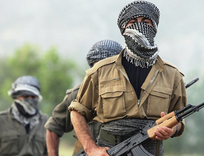 Armed Kurdish fighters try to breach Iran border as regional threat grows amid protests: reports