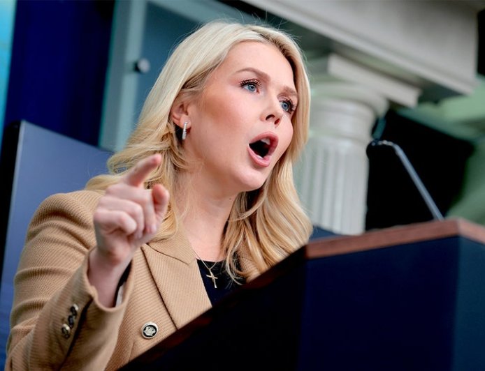 Leavitt clashes with journalist over Renee Good, calls him 'left-wing activist' in tense WH briefing exchange