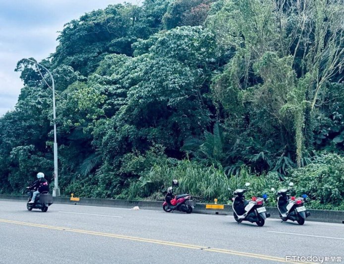 猴群集體出遊衝路中！機車女騎士急閃自摔　人傷車損有夠慘