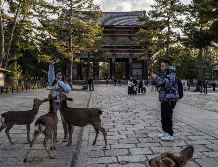环球时报：春节期间中国赴日航班减少四成
