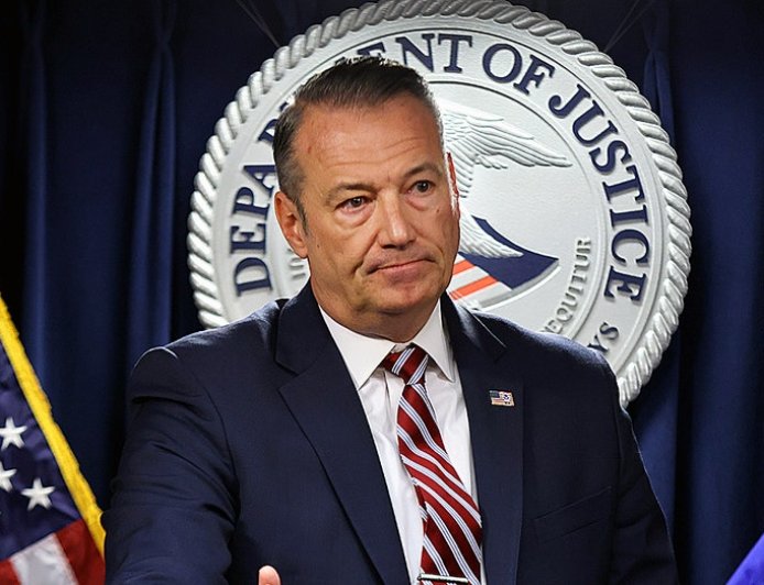 Acting ICE director defends agency's focus on targeting criminal illegal aliens, details threat to agents