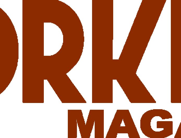 ‘Protect our routes, get ICE out’: postal workers rally in Minneapolis