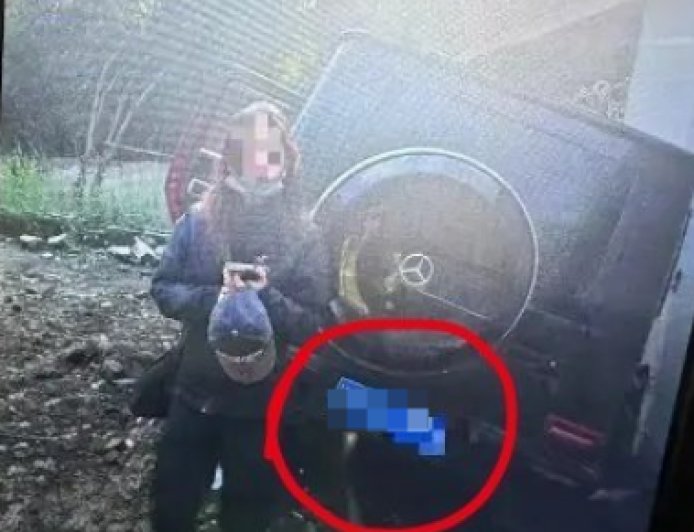 保险公司客服回应金晨事件：驾驶员逃逸保险公司一般不会直接告发