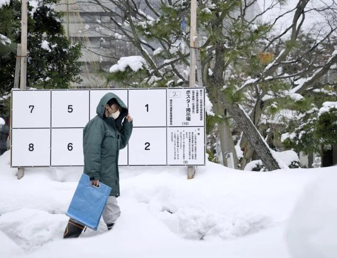 日本民调：自民党议席有望大幅增加甚至单独过半