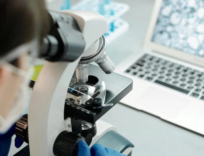 新研究揭示免疫系统“快速刹车”机制 或为治病提供思路