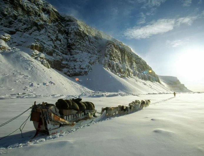 天狼星雪橇犬巡逻队 格陵兰极地的精英部队