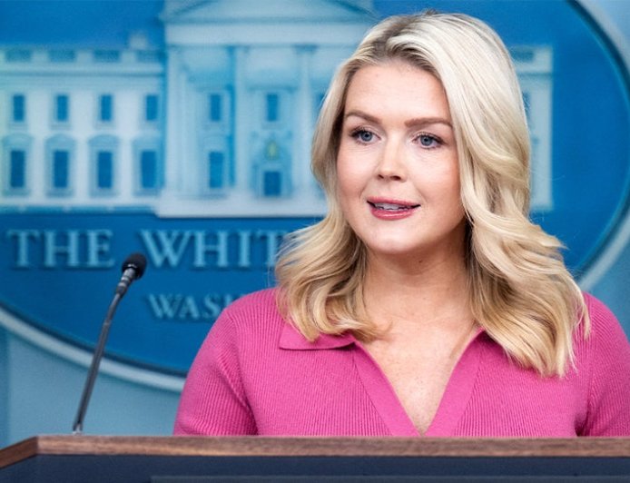 Leavitt flips script on media for balking at Fulton election probe after years of promoting Russia claims