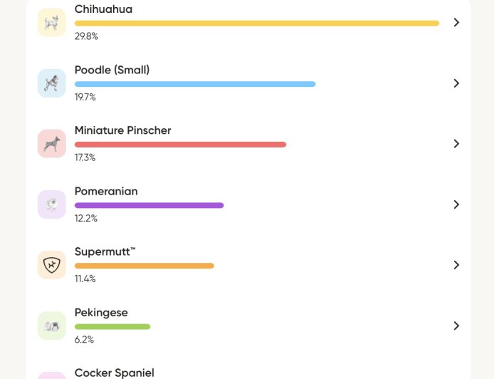 Embark Dog DNA Test Review: My Chiweenie Is Actually a Choodle