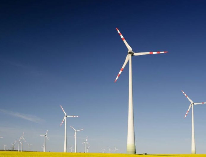 Minnesota green energy program funded by Obama fined for killing bald eagle: ‘National treasure’